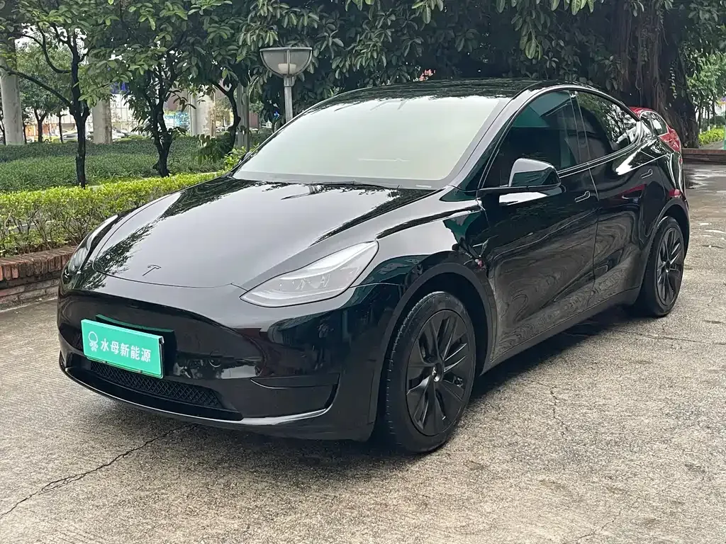 Tesla Model Y — фото 1