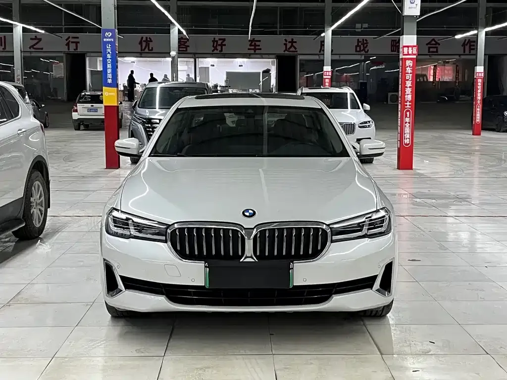 BMW 5 Series New Energy 2021 из CN, фото 4