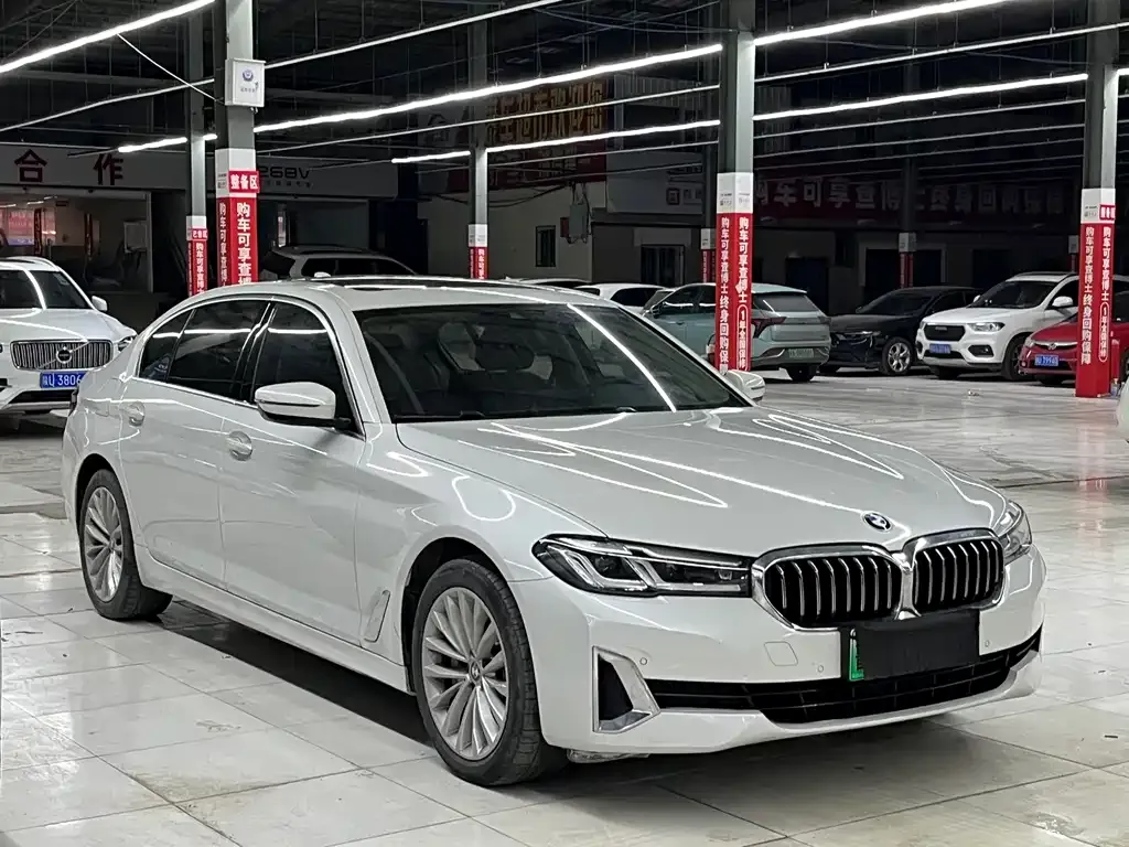 BMW 5 Series New Energy 2021 из CN, фото 2