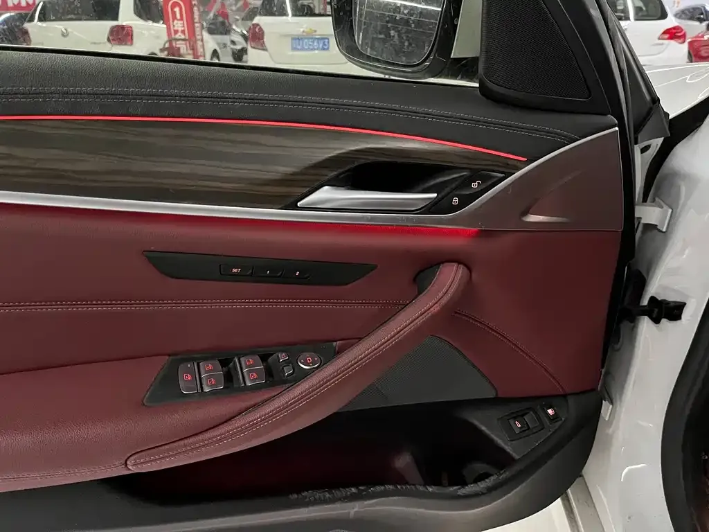BMW 5 Series New Energy 2021 из CN, фото 3
