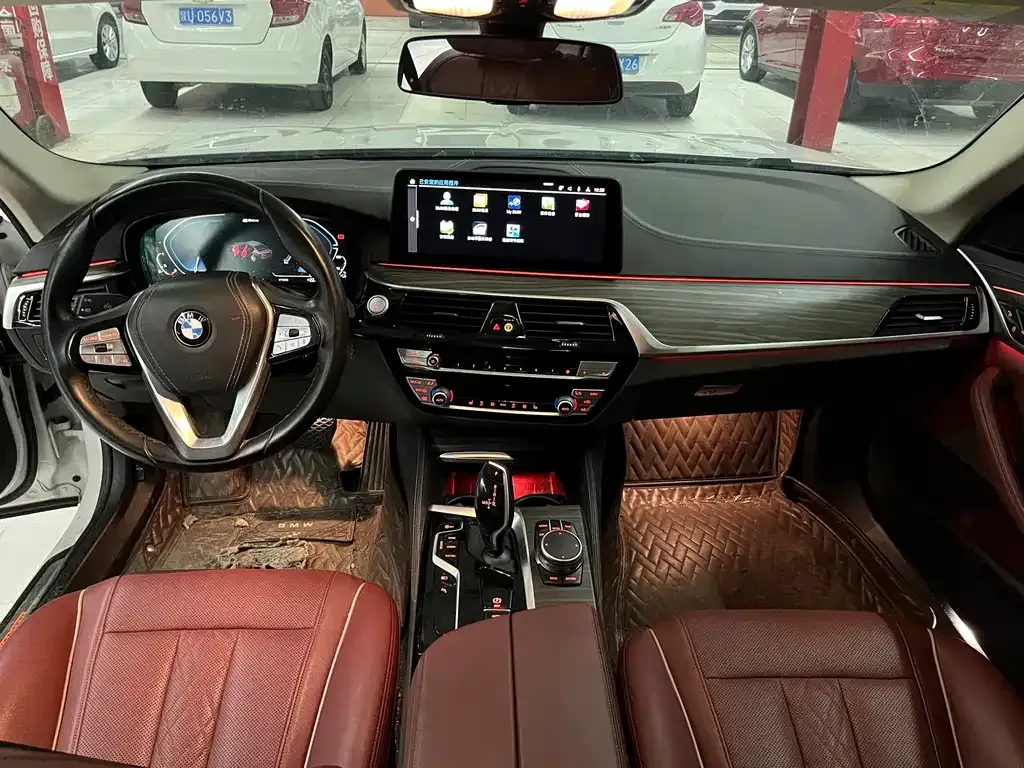 BMW 5 Series New Energy 2021 из CN, фото 6