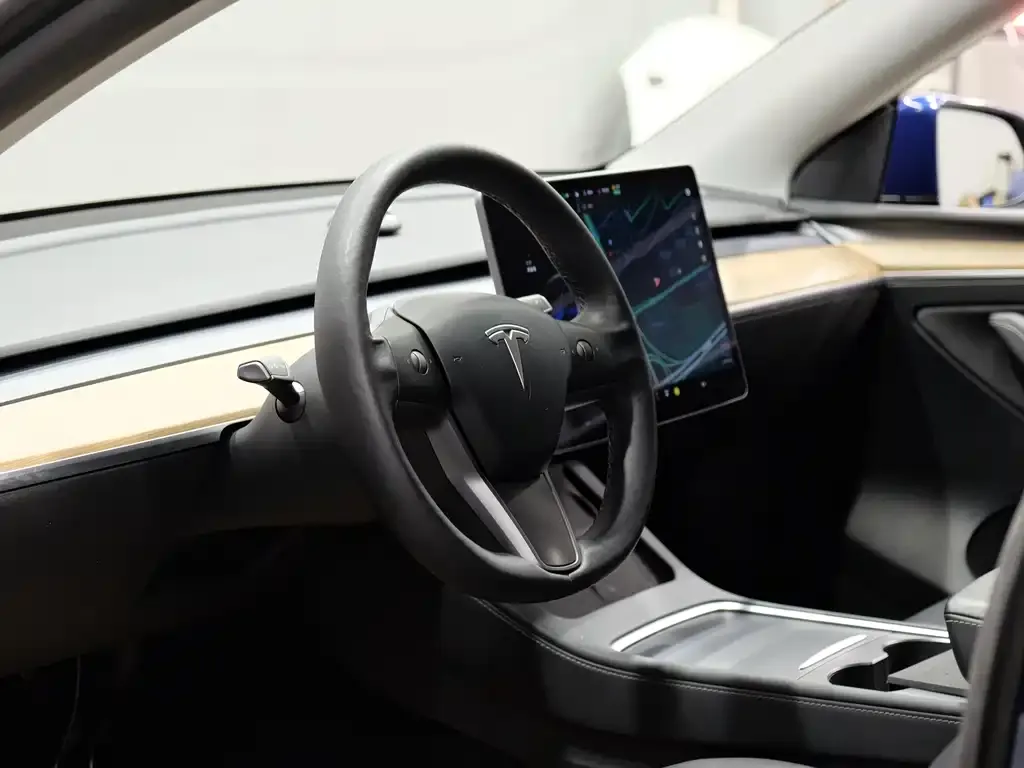 Tesla Model Y — фото 2