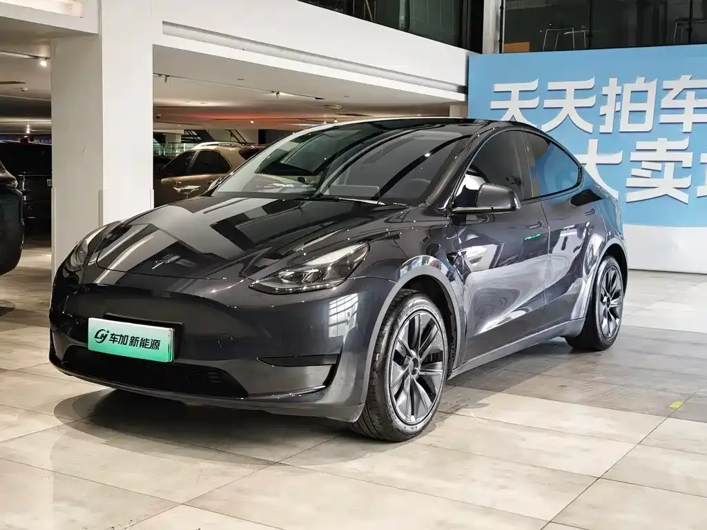 Tesla Model Y — фото 1