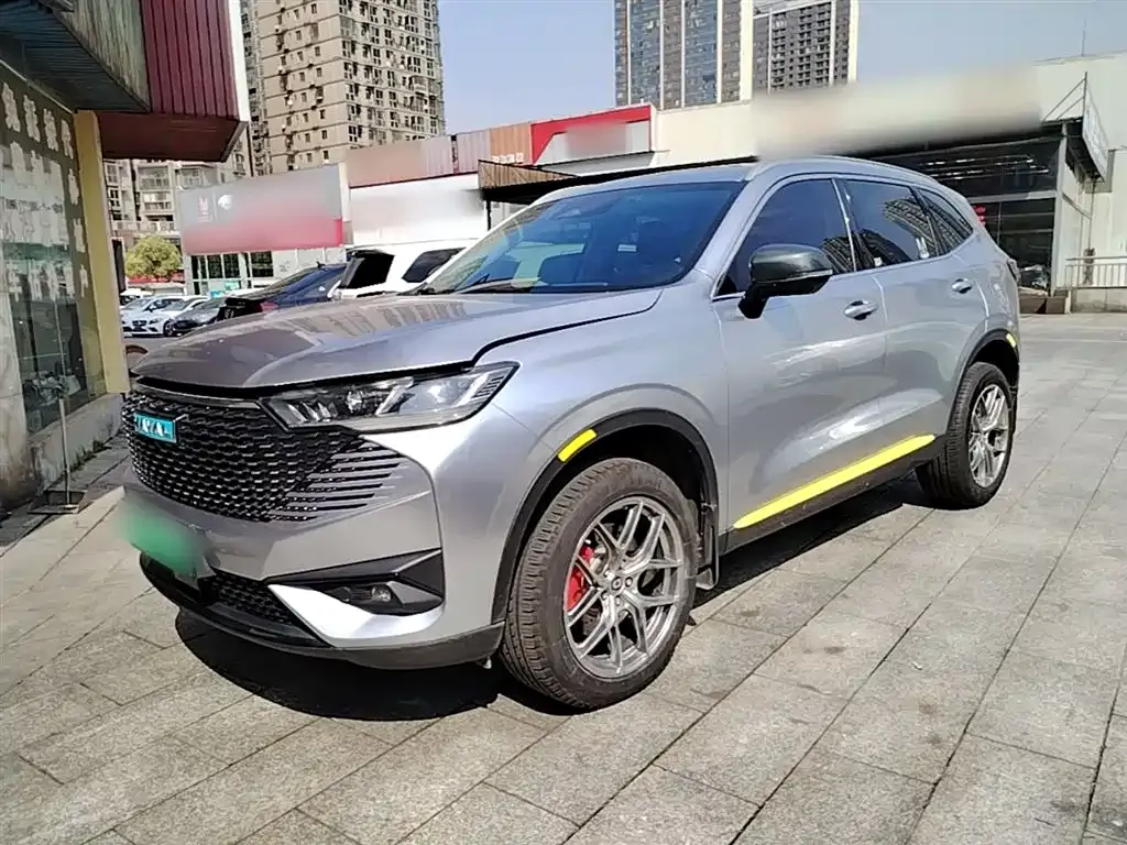 Haval H6 New Energy 2022 из CN, фото 10