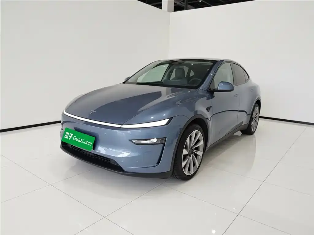 Tesla Model Y 2025 из CN, фото 5