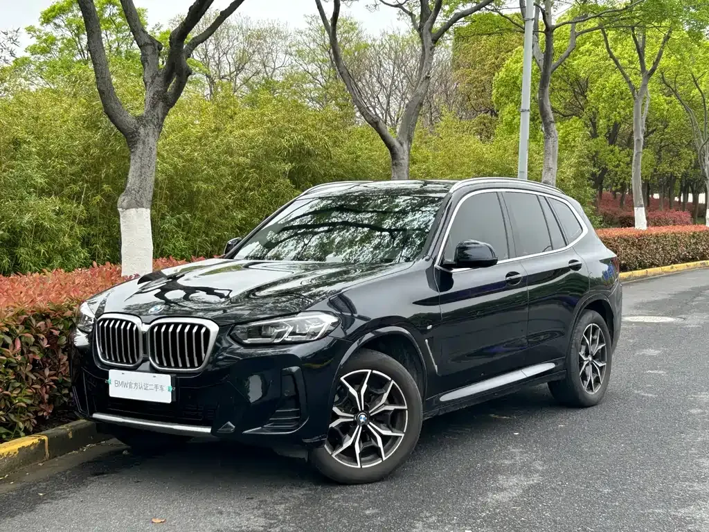 BMW X3 — фото 1