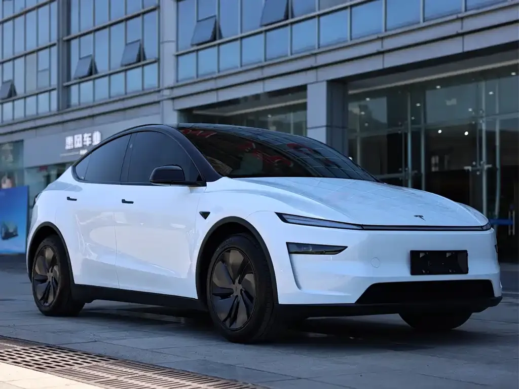 Tesla Model Y — фото 10