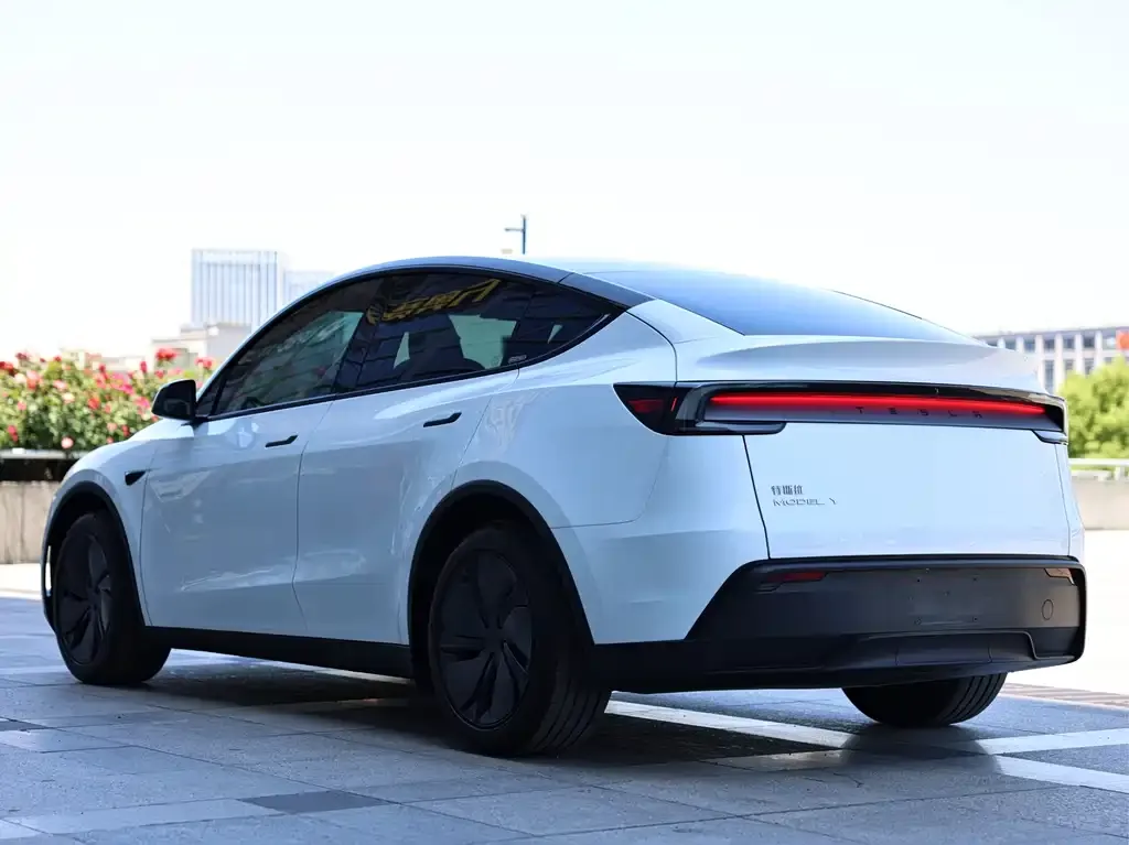 Tesla Model Y — фото 6