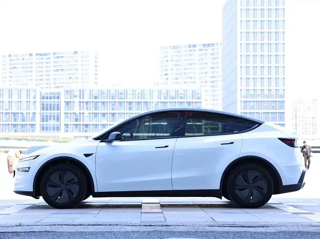 Tesla Model Y — фото 9