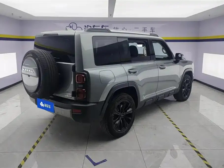 Haval Menglong New Energy 2024 из CN, фото 6