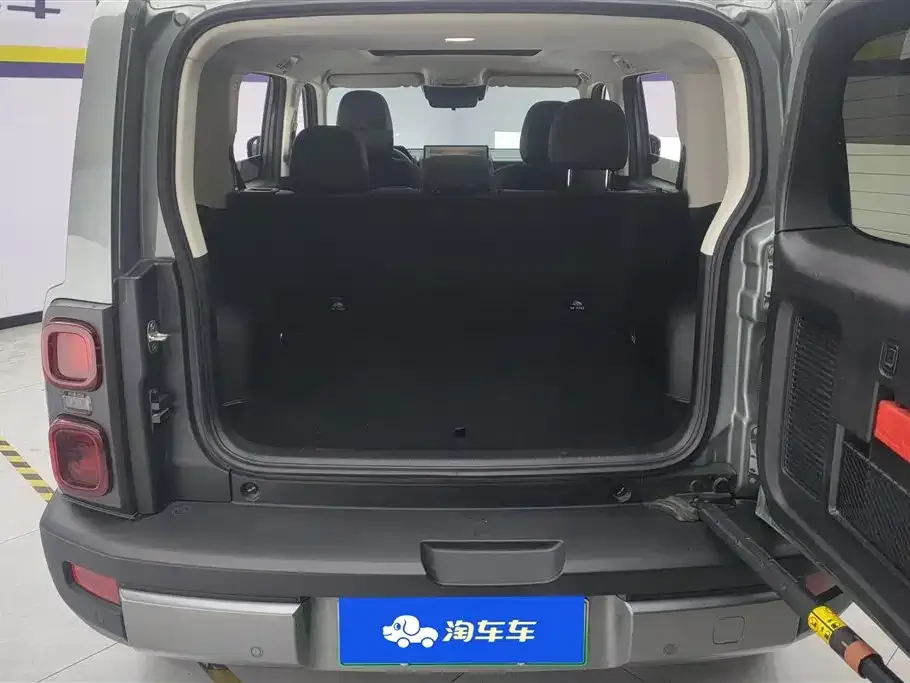 Haval Menglong New Energy 2024 из CN, фото 4