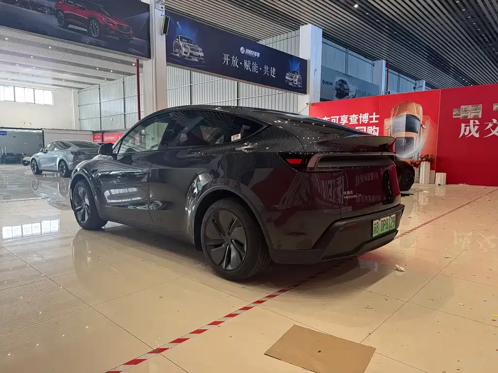 Tesla Model Y — фото 8