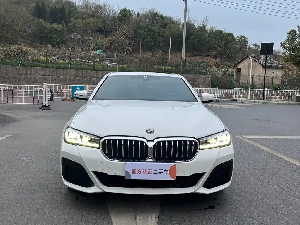 BMW 5 Series (Import)