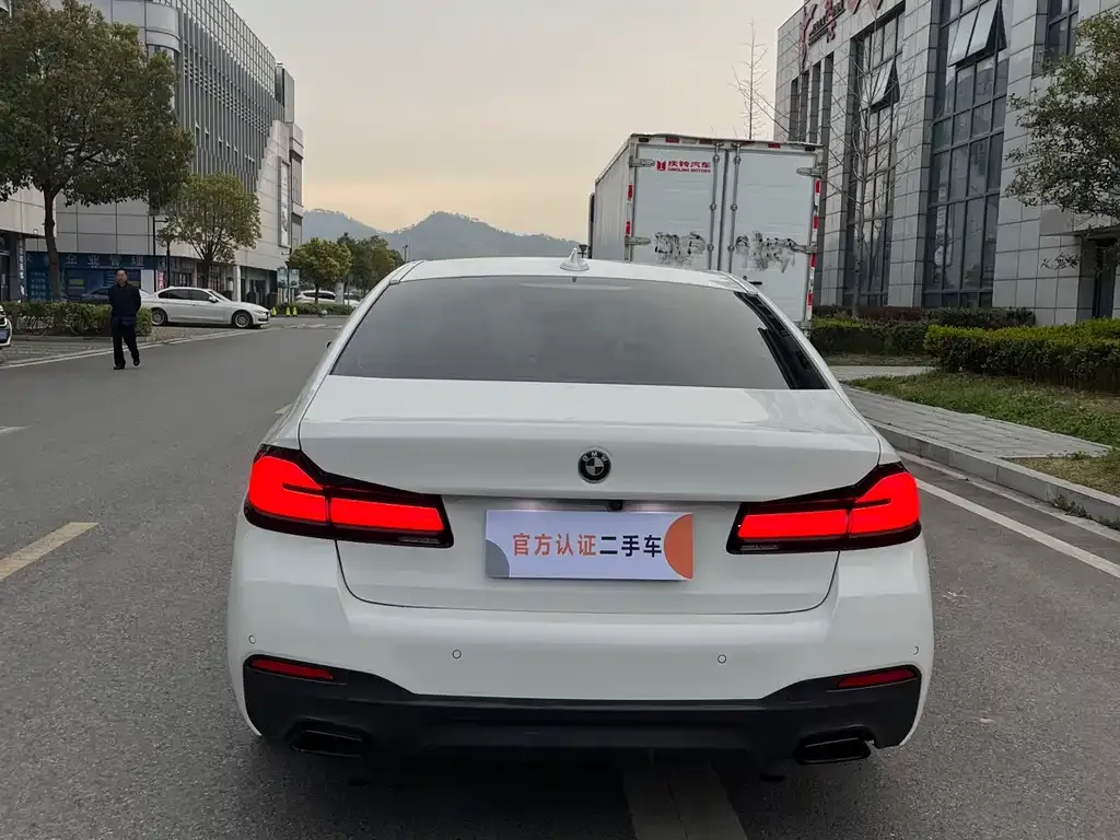 BMW 5 Series (Import) 2021 из CN, фото 3