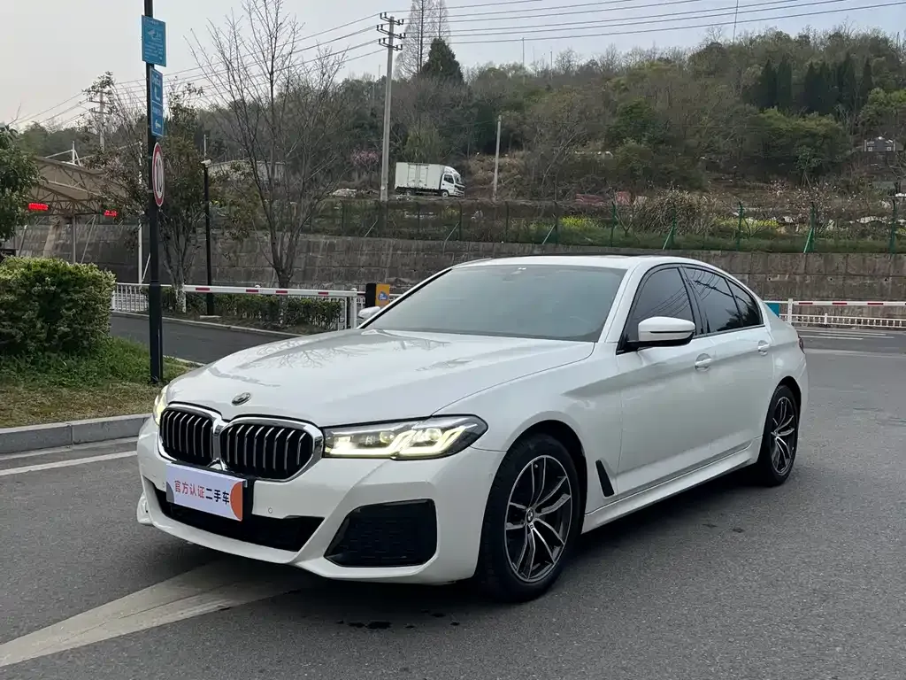 BMW 5 Series (Import) 2021 из CN, фото 9