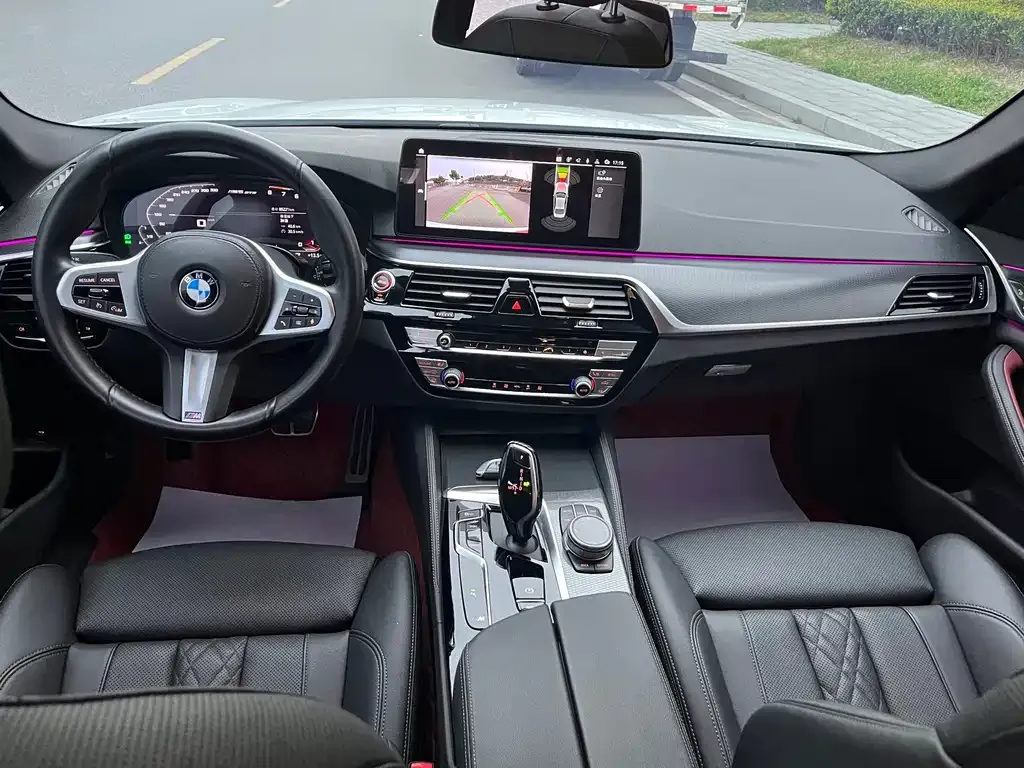 BMW 5 Series (Import) 2021 из CN, фото 8