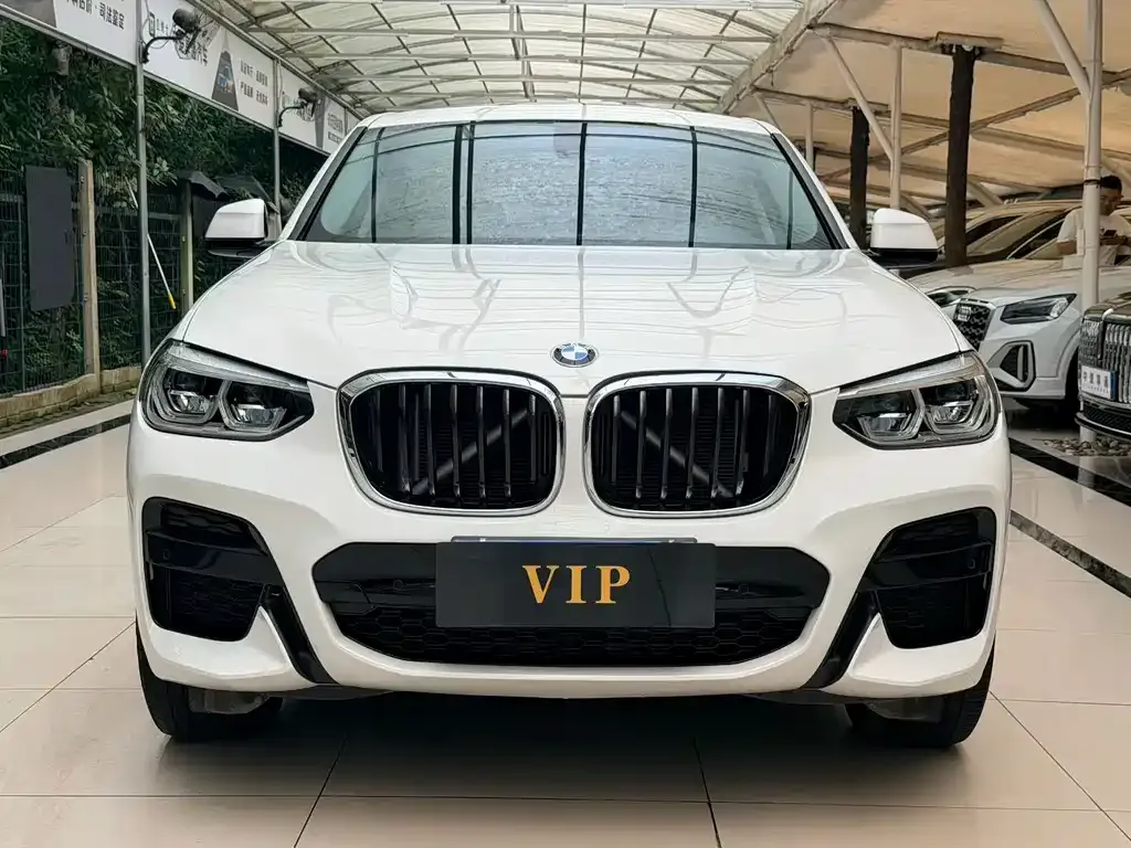BMW X4 2021 из CN, фото 2