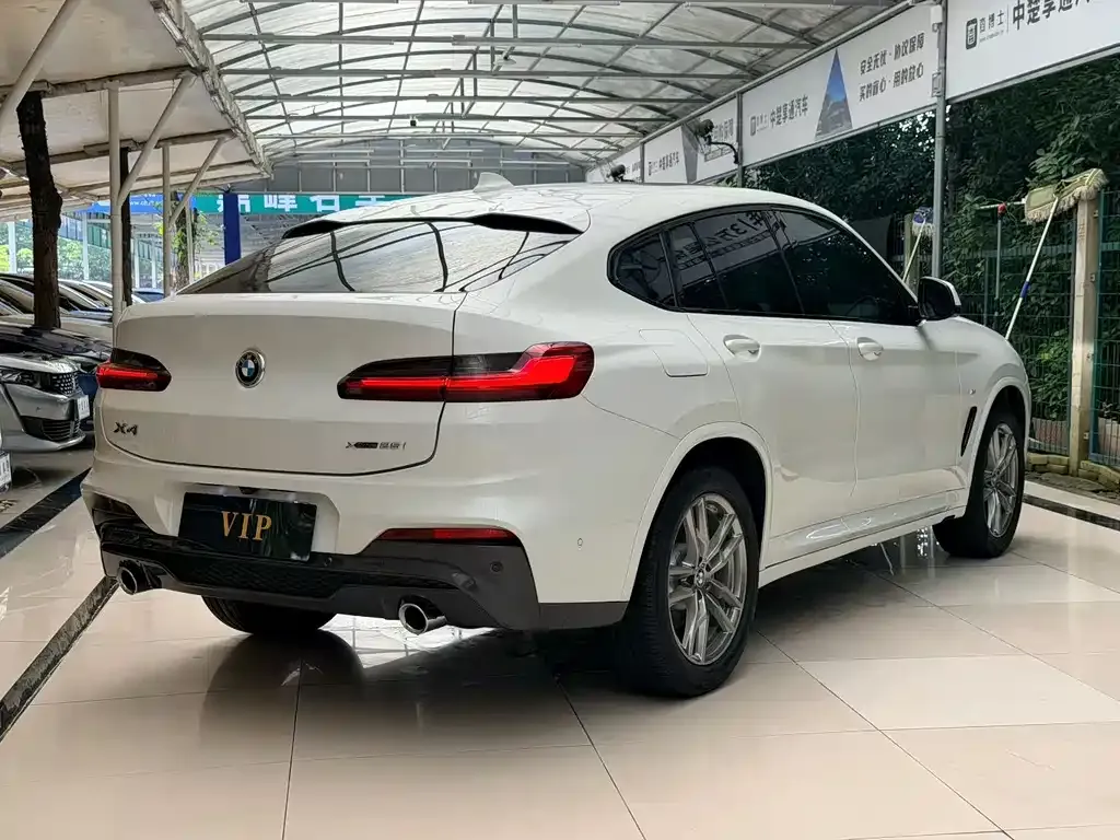 BMW X4 2021 из CN, фото 7