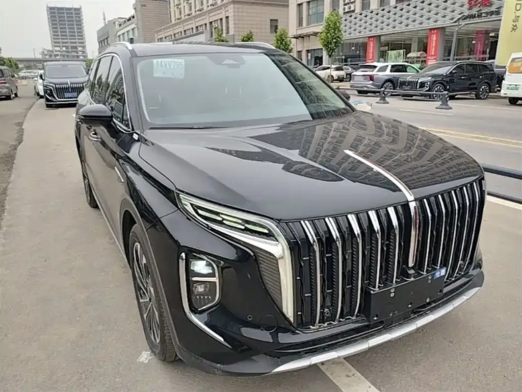 Hongqi HS7 PHEV — фото 8