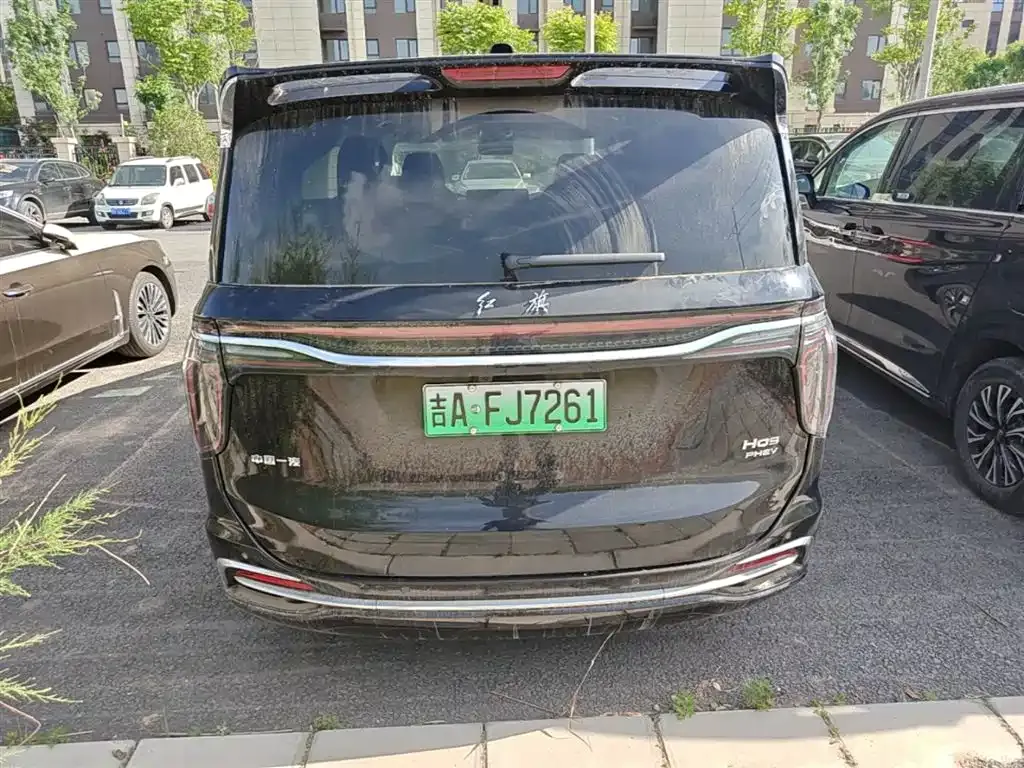 Hongqi HQ9 PHEV 2024 из CN, фото 9
