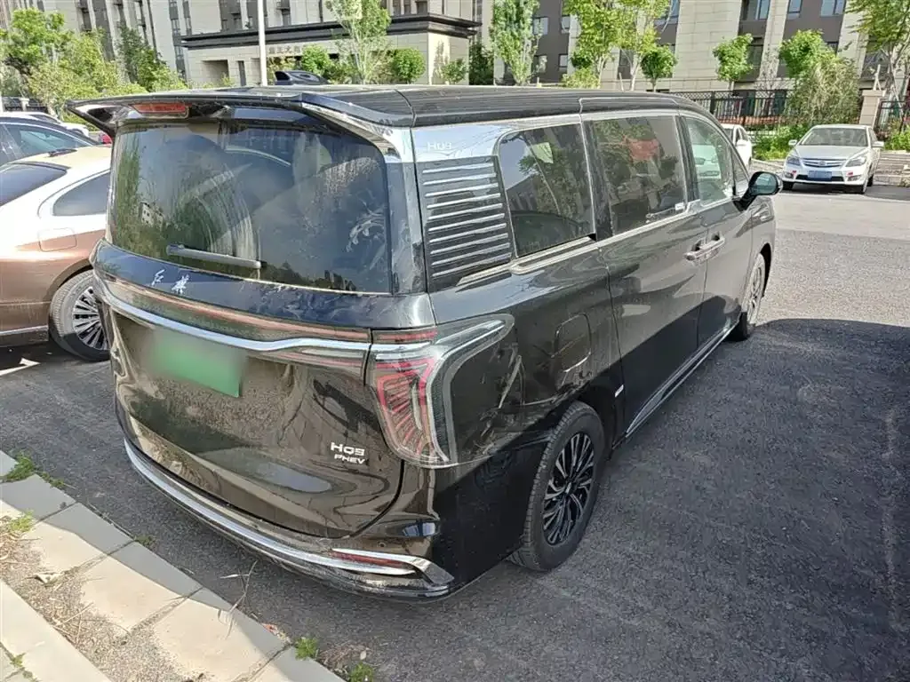 Hongqi HQ9 PHEV 2024 из CN, фото 10