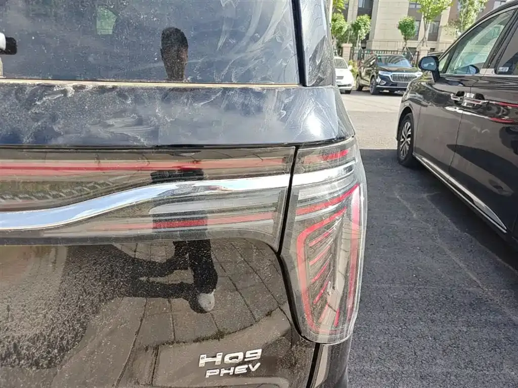 Hongqi HQ9 PHEV 2024 из CN, фото 7