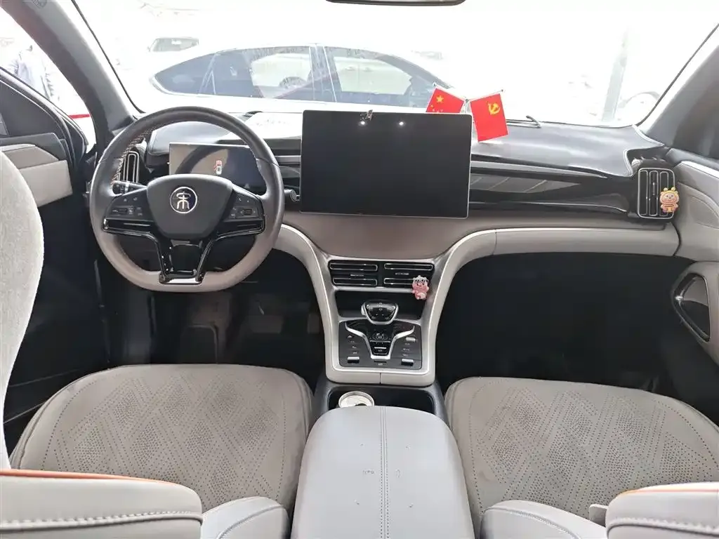 BYD Pro New Energy — фото 4