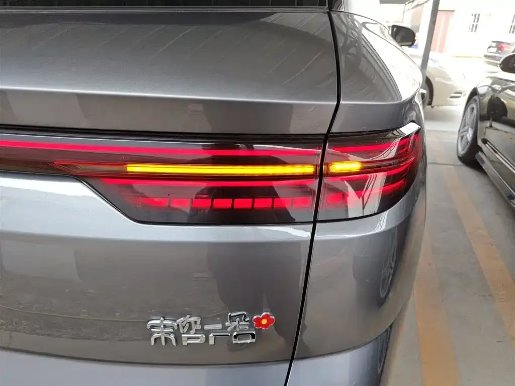 BYD Pro New Energy — фото 9