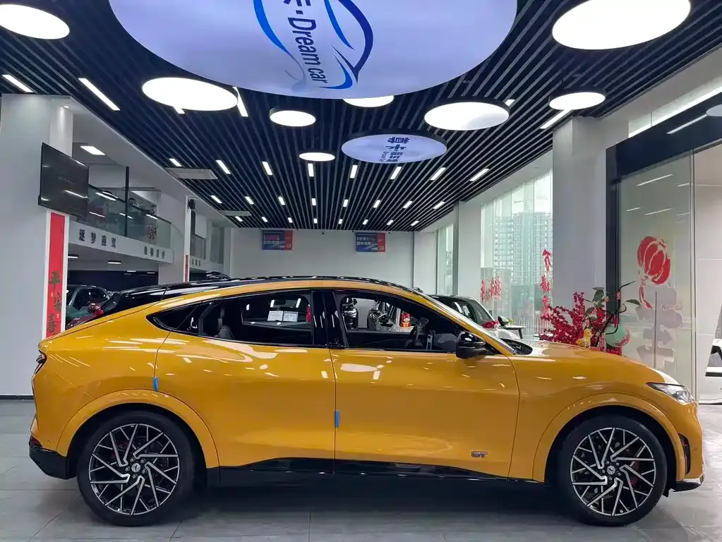 Ford Mustang Mach-E 2024 из CN, фото 10