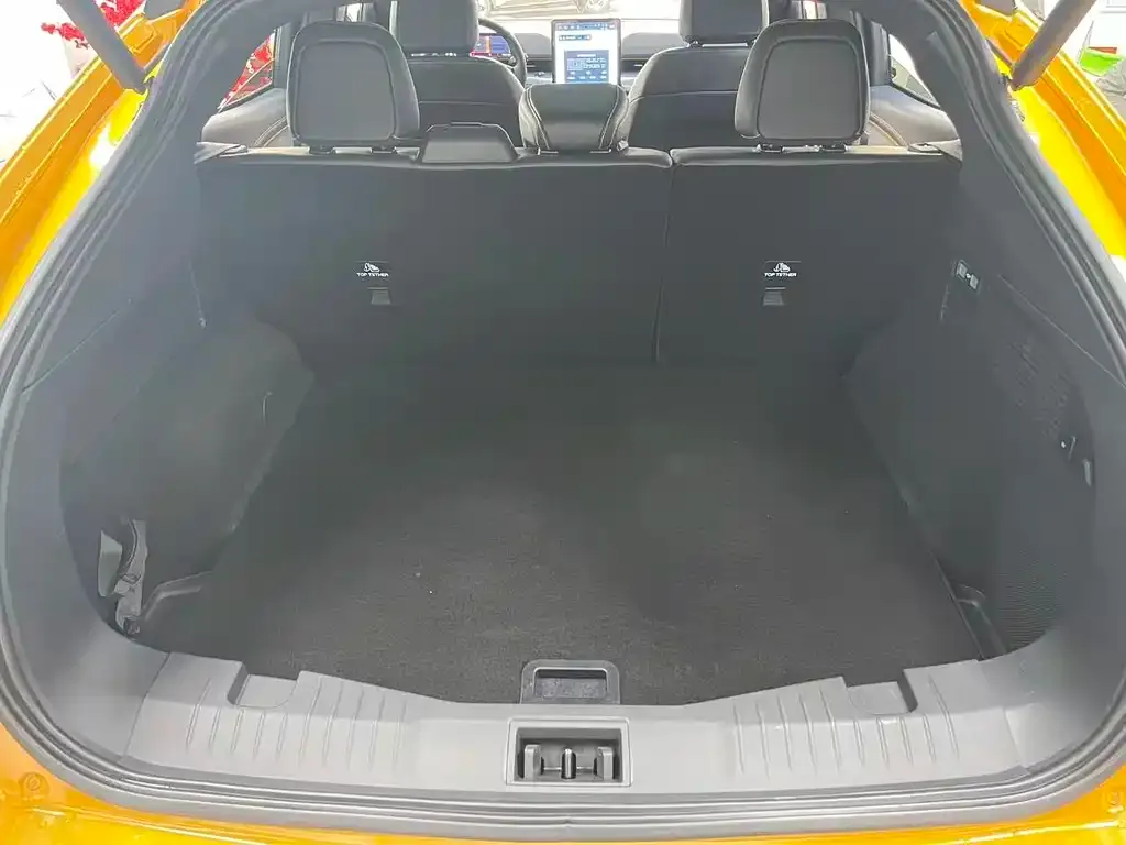 Ford Mustang Mach-E 2024 из CN, фото 3