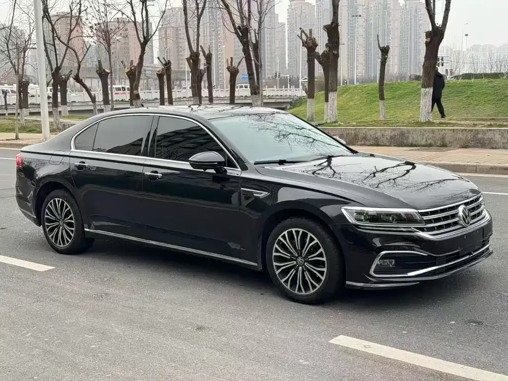 Volkswagen Phideon 2021 из CN, фото 2
