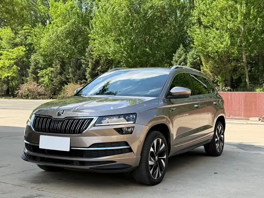 Skoda Karoq — фото 1