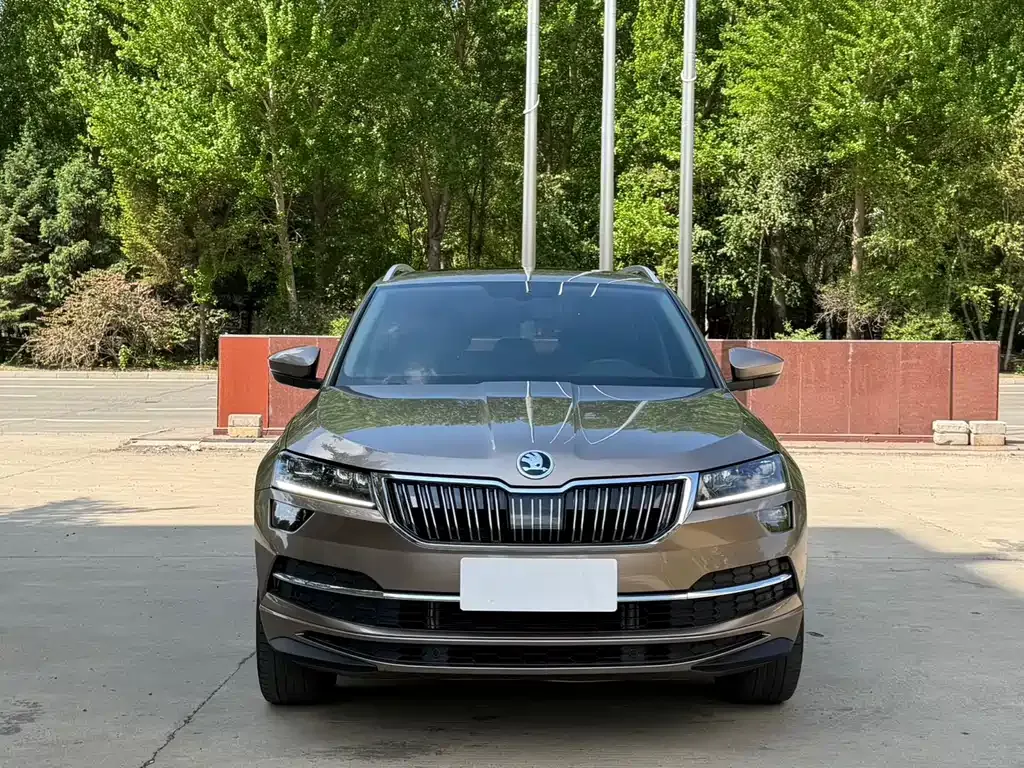 Skoda Karoq — фото 7