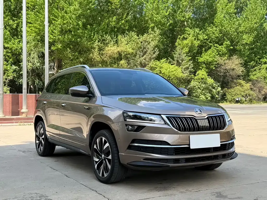 Skoda Karoq — фото 3
