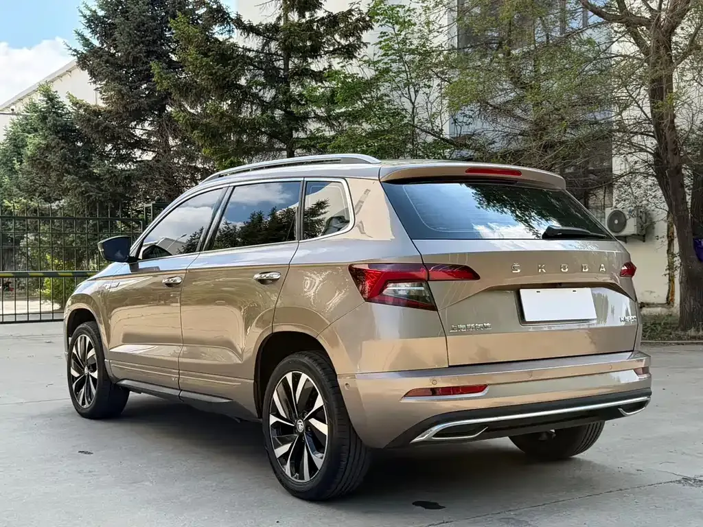 Skoda Karoq — фото 9