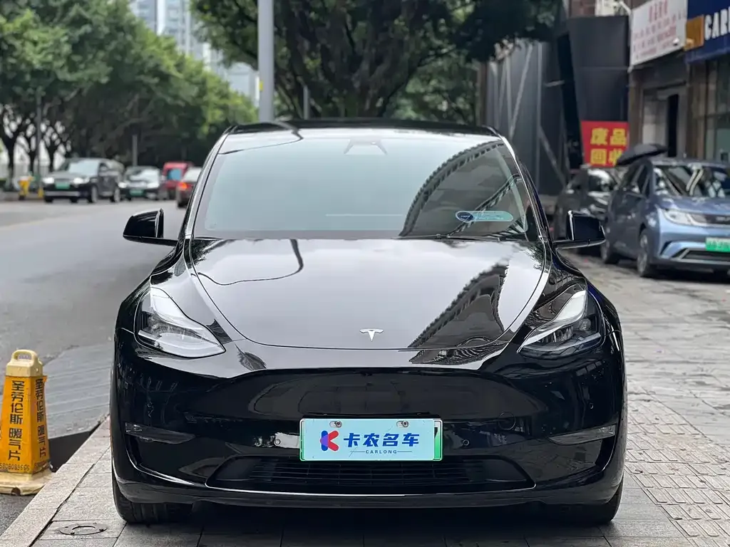 Tesla Model Y — фото 1