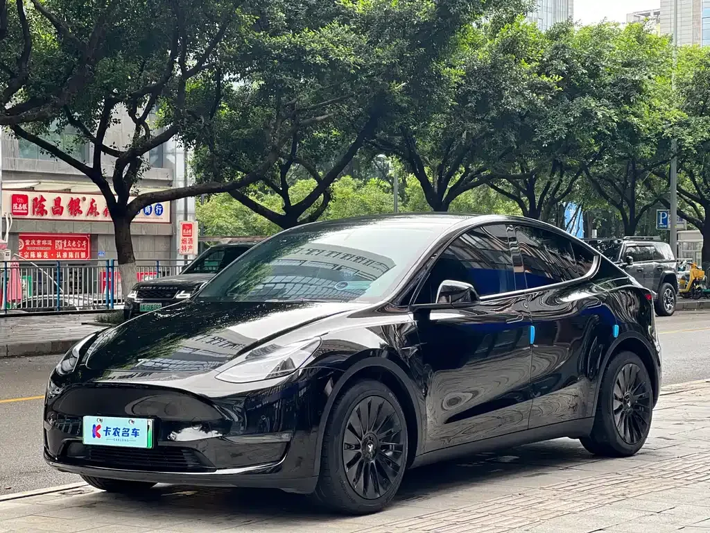 Tesla Model Y — фото 5