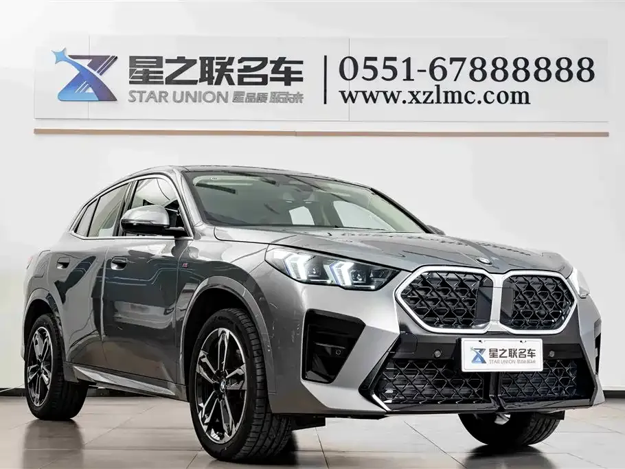 BMW X2 (Import) 2025 из CN, фото 9