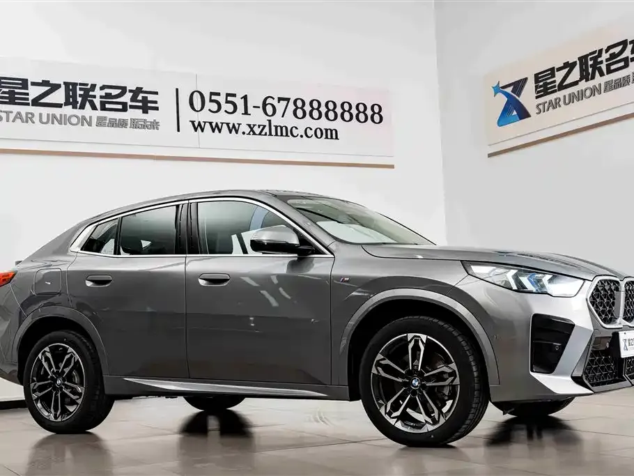 BMW X2 (Import) 2025 из CN, фото 7