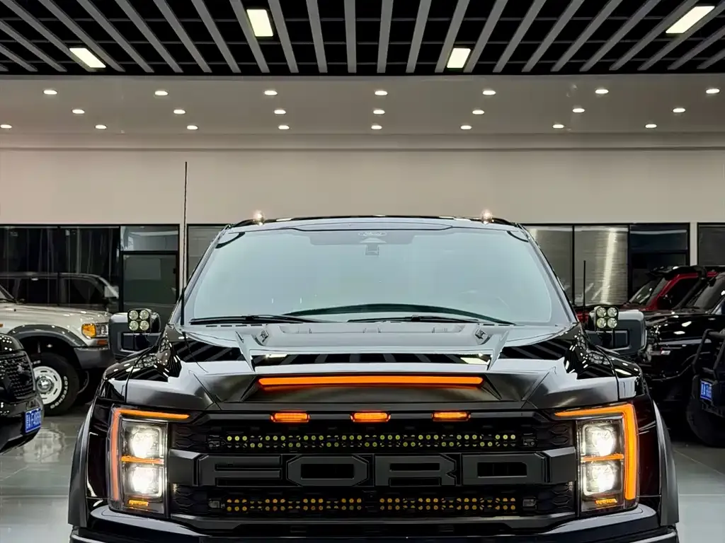 Ford F-150 Raptor — фото 6