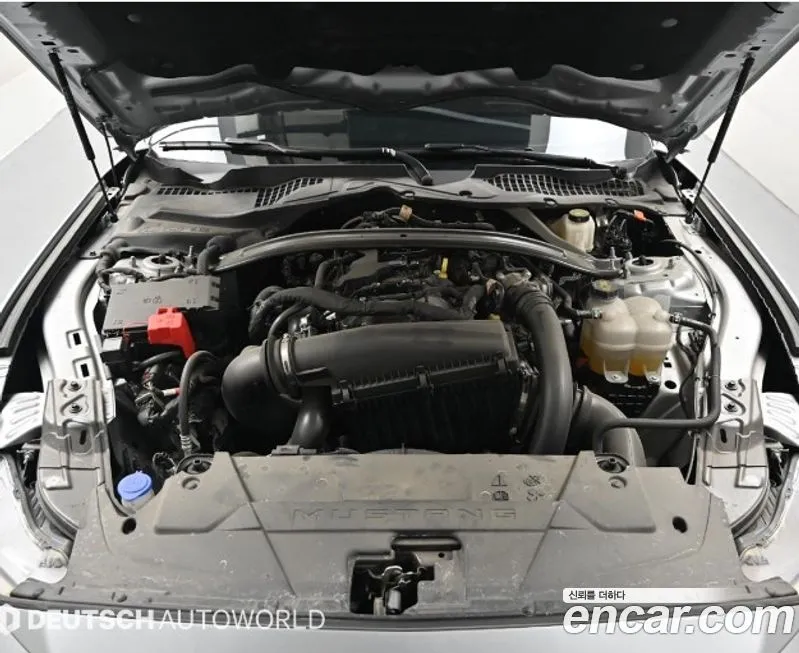 Ford Mustang 2024 из KR, фото 8