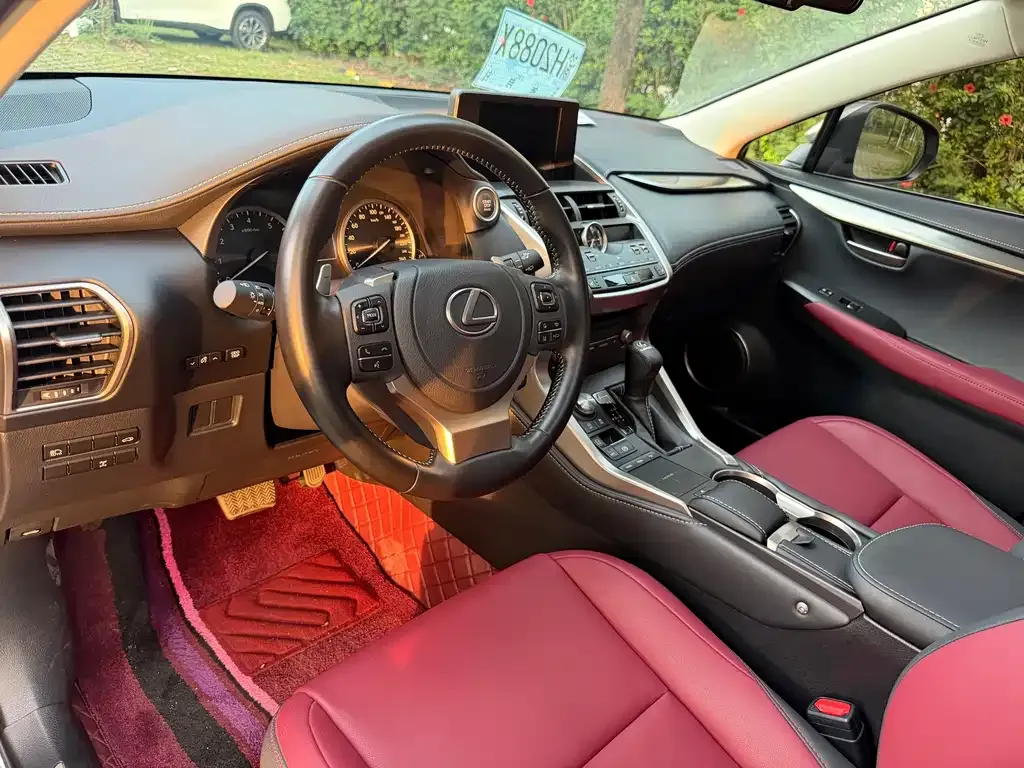 Lexus NX 2021 из CN, фото 2