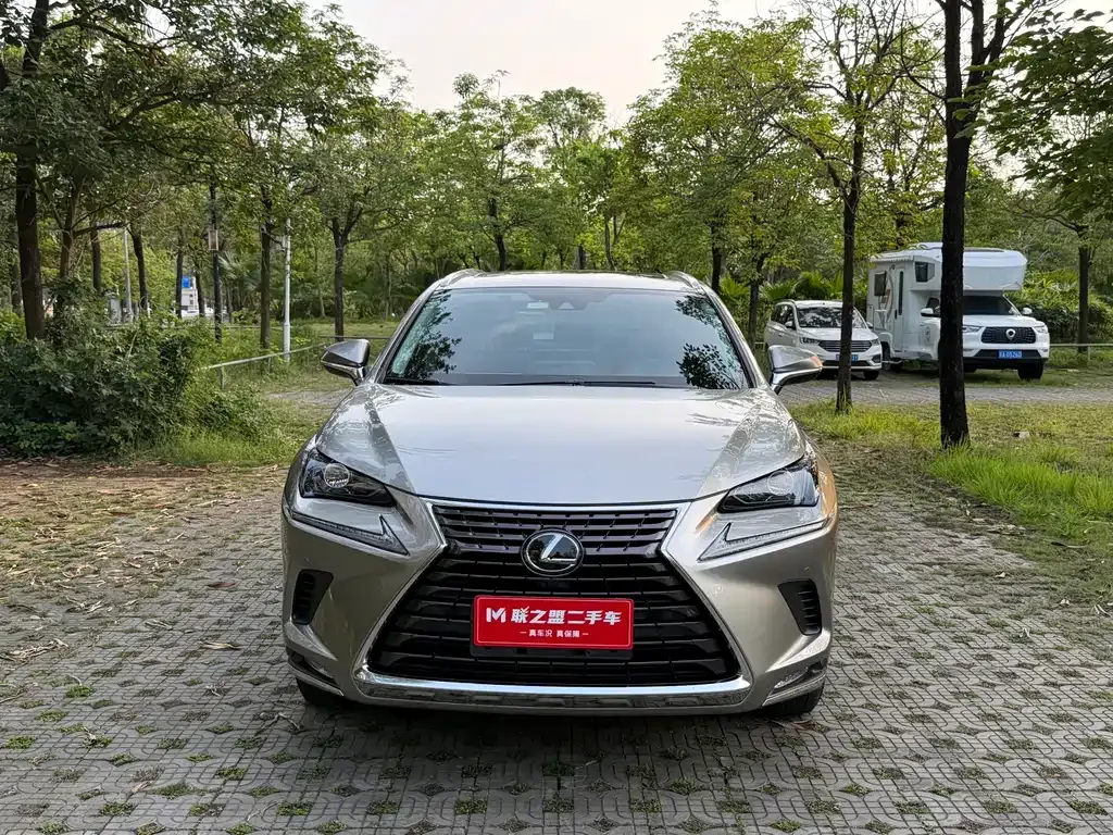Lexus NX 2021 из CN, фото 8