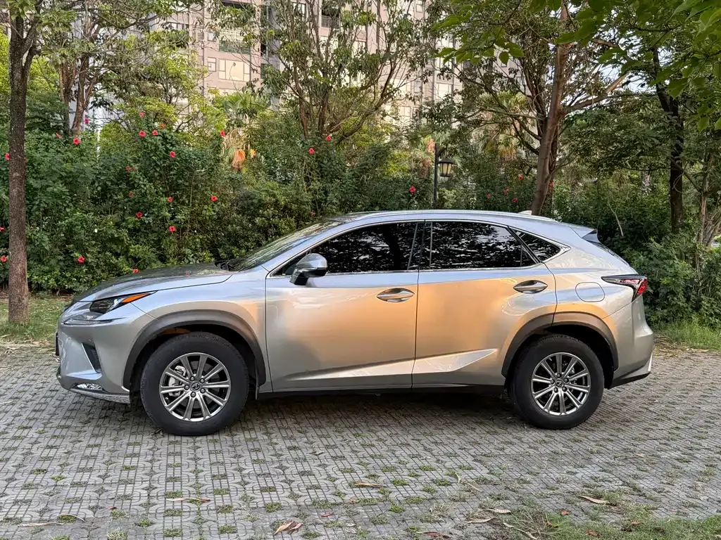 Lexus NX 2021 из CN, фото 7