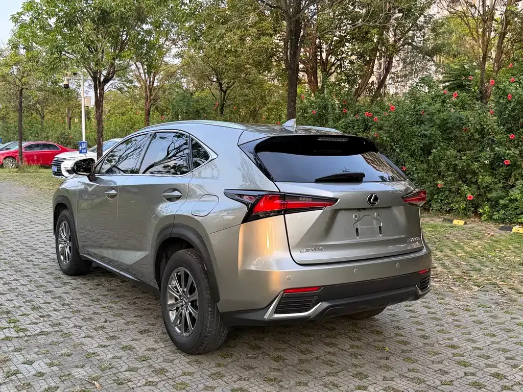 Lexus NX 2021 из CN, фото 6