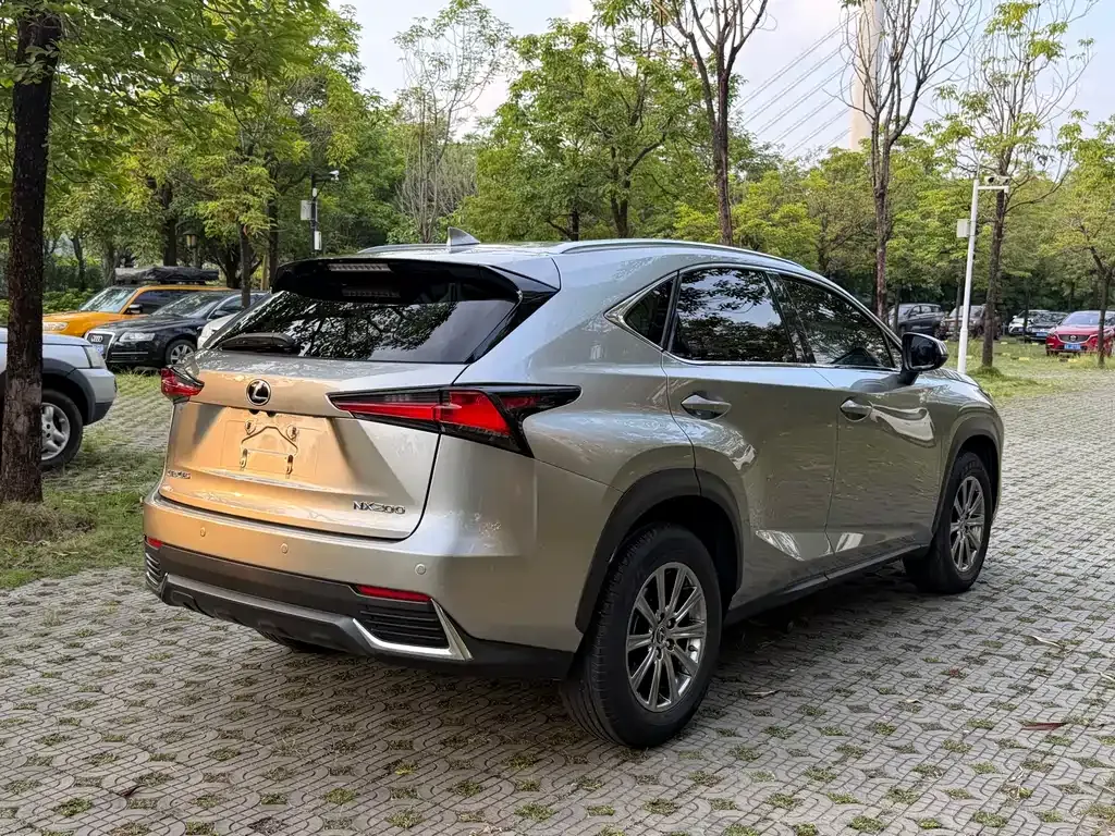 Lexus NX 2021 из CN, фото 9