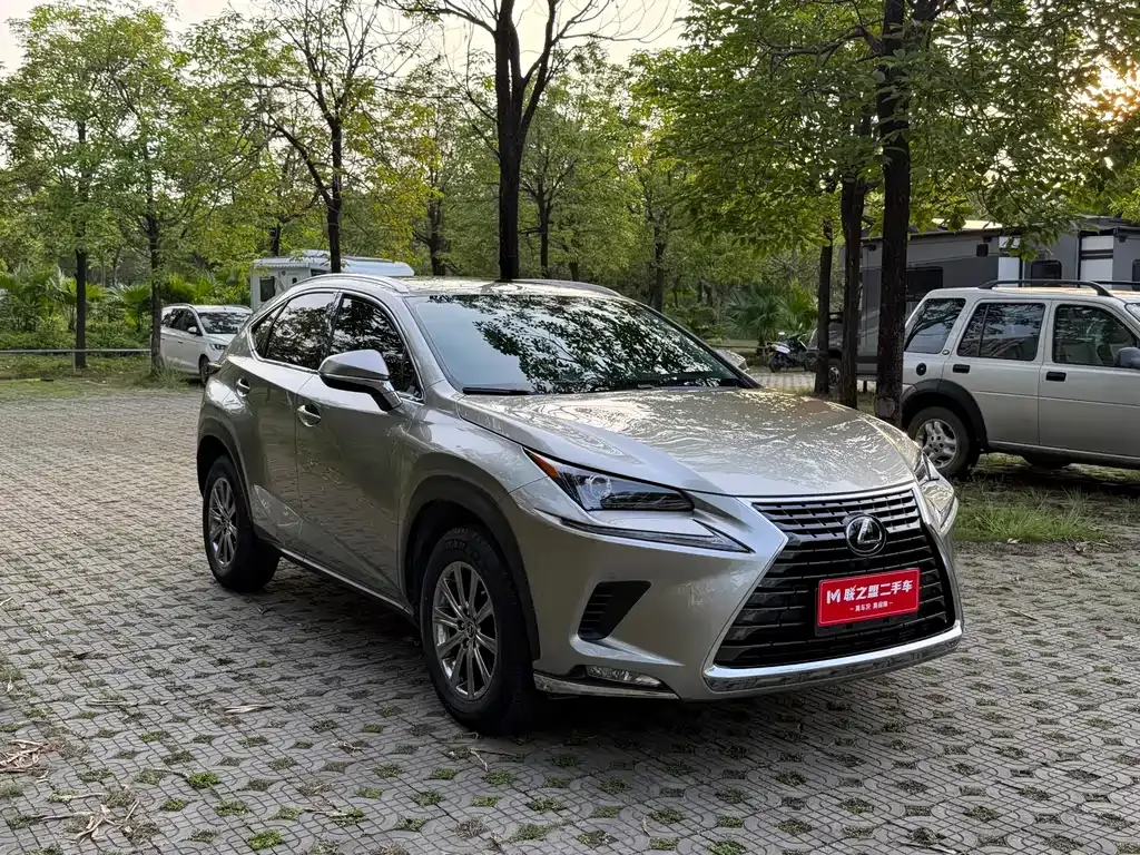 Lexus NX 2021 из CN, фото 4
