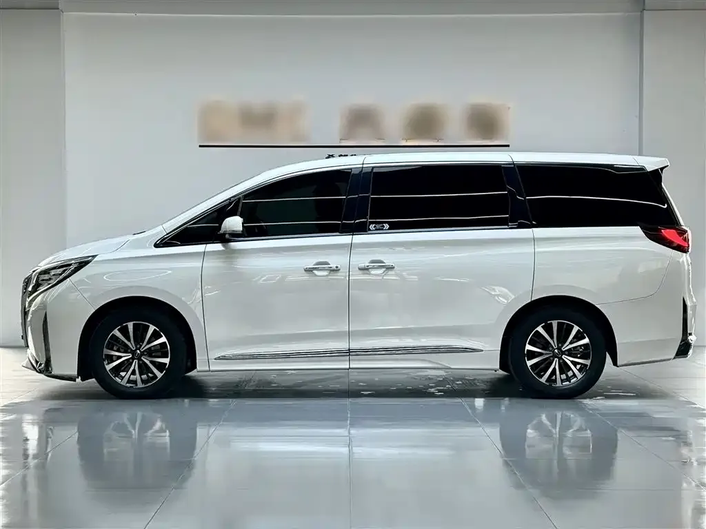 GAC Motor Trumpchi M8 2022 из CN, фото 6