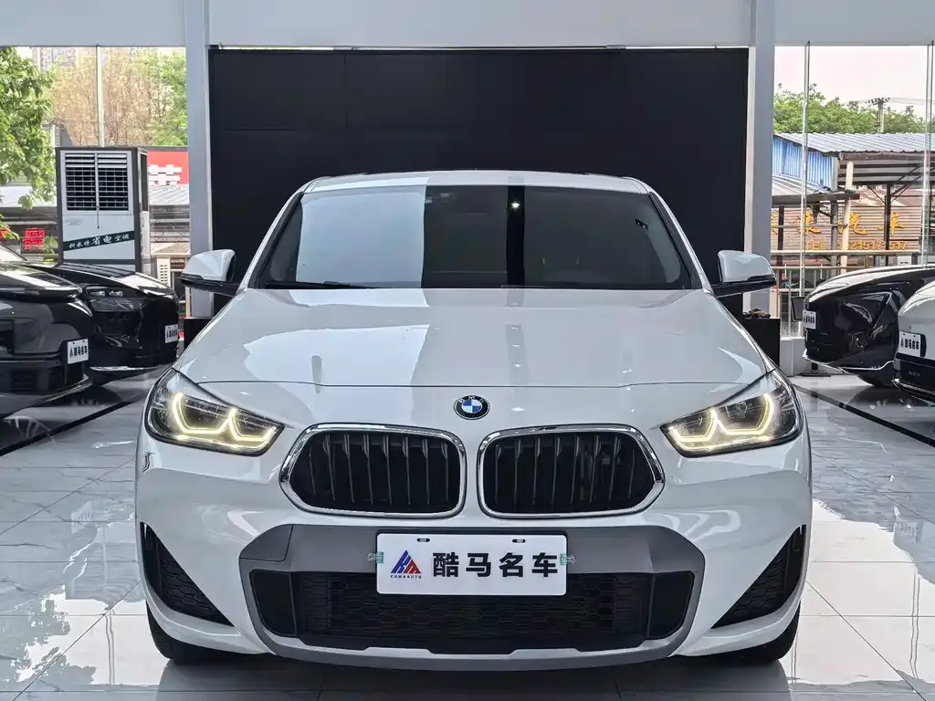 BMW X2 2021 из CN, фото 9