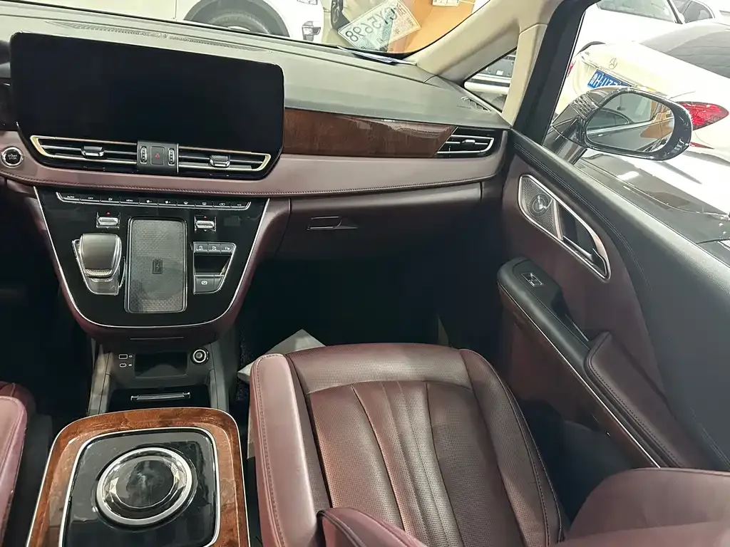 Hongqi HQ9 2023 из CN, фото 10